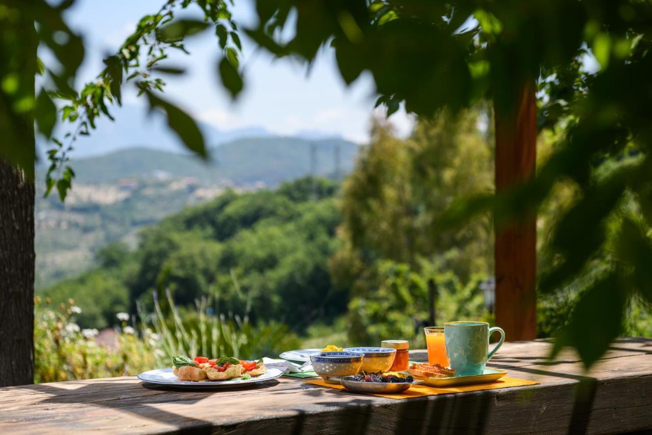 B&B Albachiara Casa Di Campagna Ogliastro Cilento Bagian luar foto