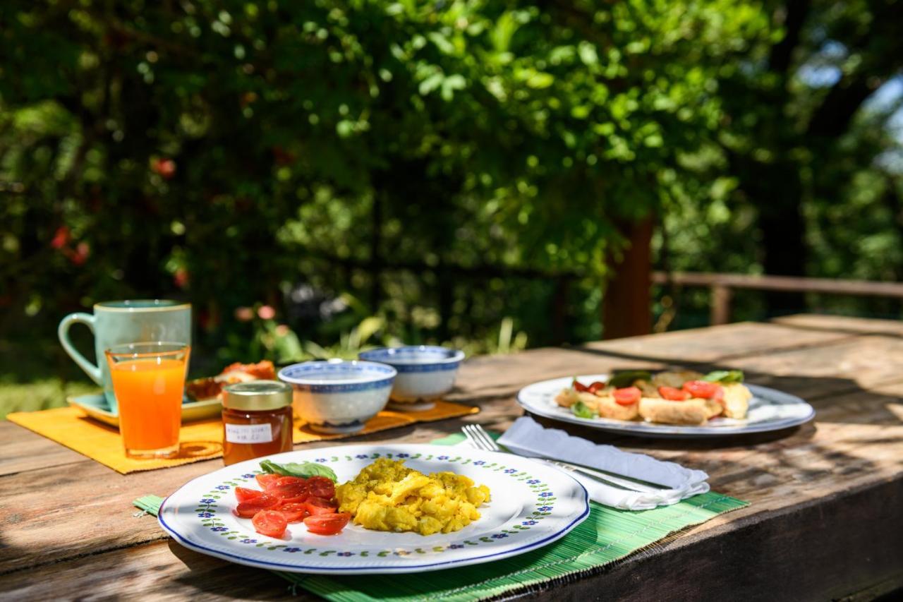 B&B Albachiara Casa Di Campagna Ogliastro Cilento Bagian luar foto
