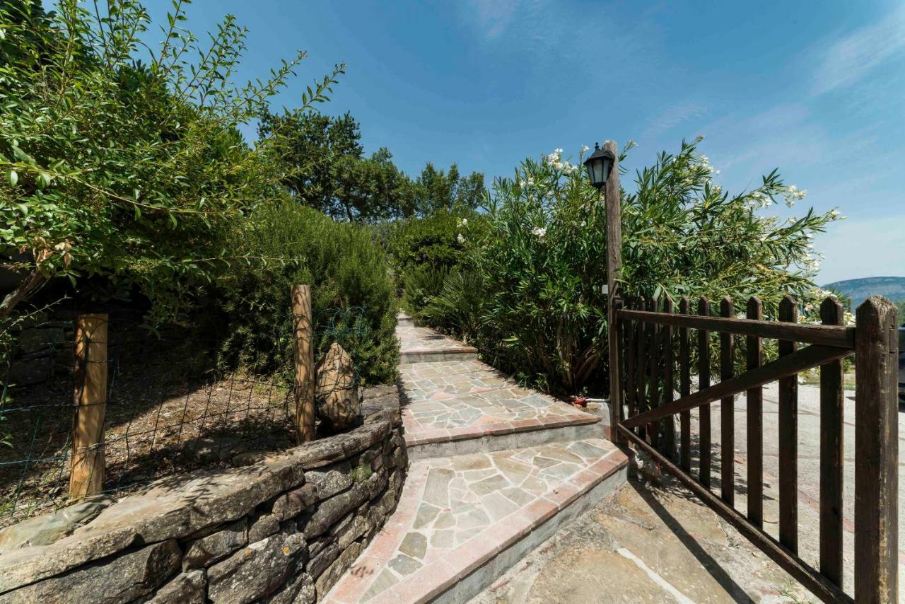 B&B Albachiara Casa Di Campagna Ogliastro Cilento Bagian luar foto